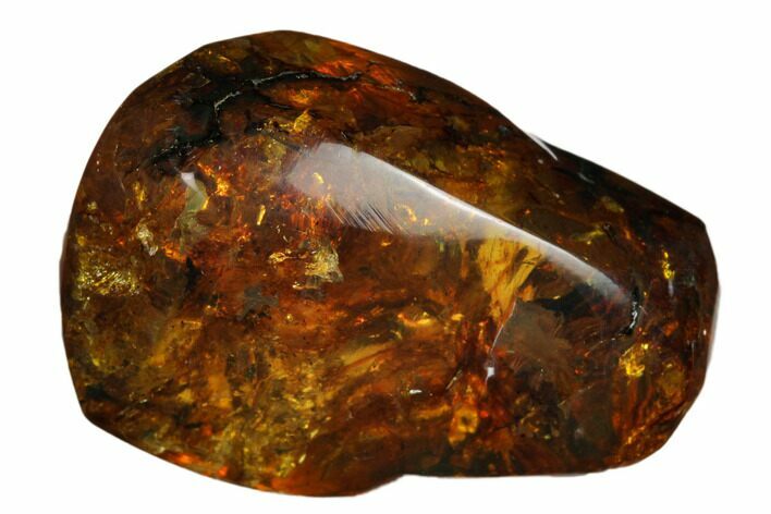 Polished Chiapas Amber ( g) - Mexico #180439